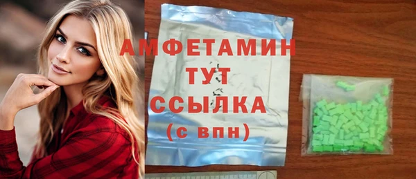сатива Гусь-Хрустальный