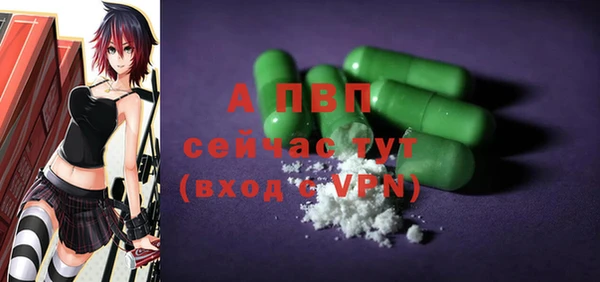 сатива Гусь-Хрустальный