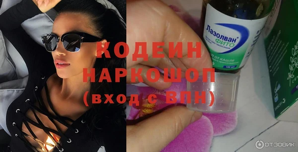 сатива Гусь-Хрустальный