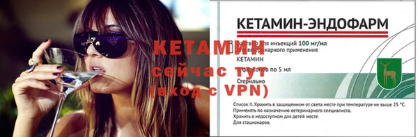 сатива Гусев