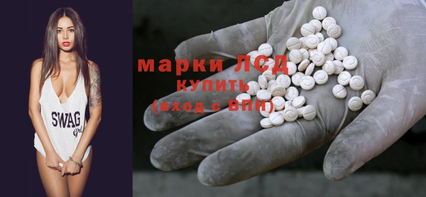 сатива Гусь-Хрустальный