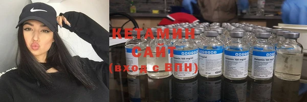 сатива Гусев