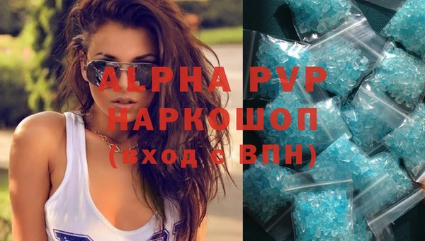 сатива Гусев