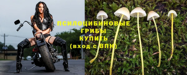 винт Гусиноозёрск
