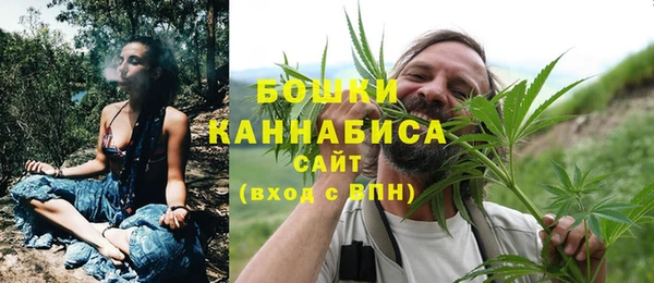 сатива Гусев