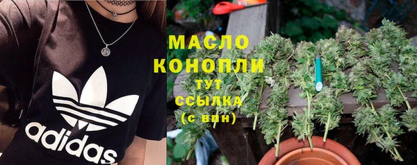 сатива Гусь-Хрустальный