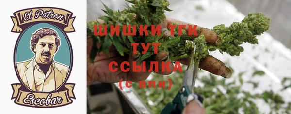 сатива Гусев