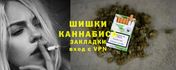 винт Гусиноозёрск