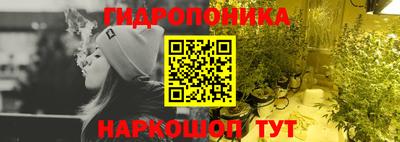 гидропоника Дубна