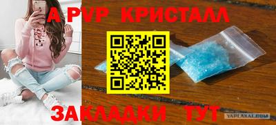 СК Донской