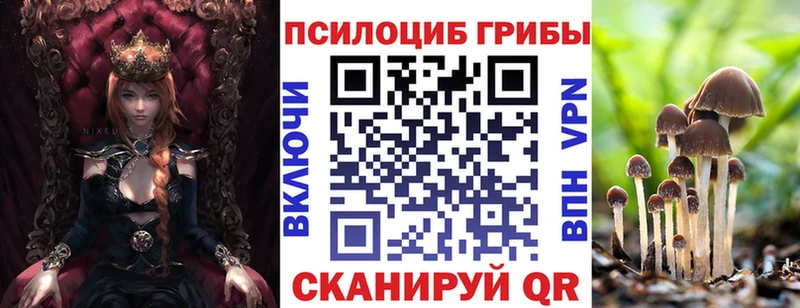 Галлюциногенные грибы мицелий  Железногорск 