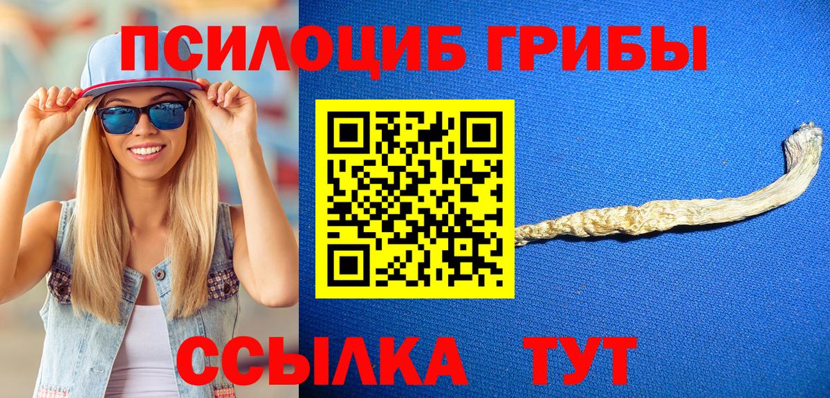 Галлюциногенные грибы Cubensis Железногорск